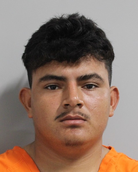 LEVIS ALVAREZ-SORTO booked for